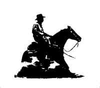 Susquehanna Valley Reining Association