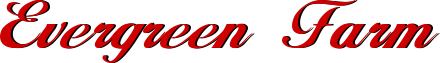Evergreen Farm